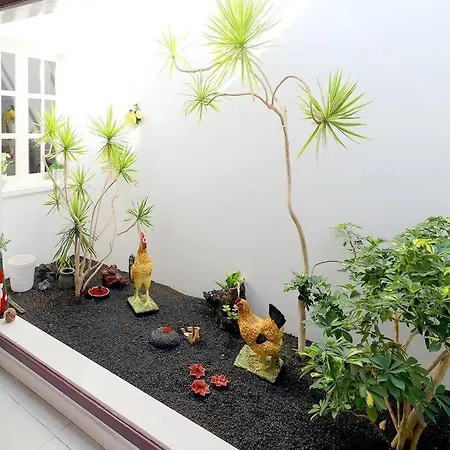 Vakantiehuis Jazmin, 3 Bed In Mojones *